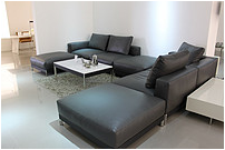 Sfm39-Living Room Sofa