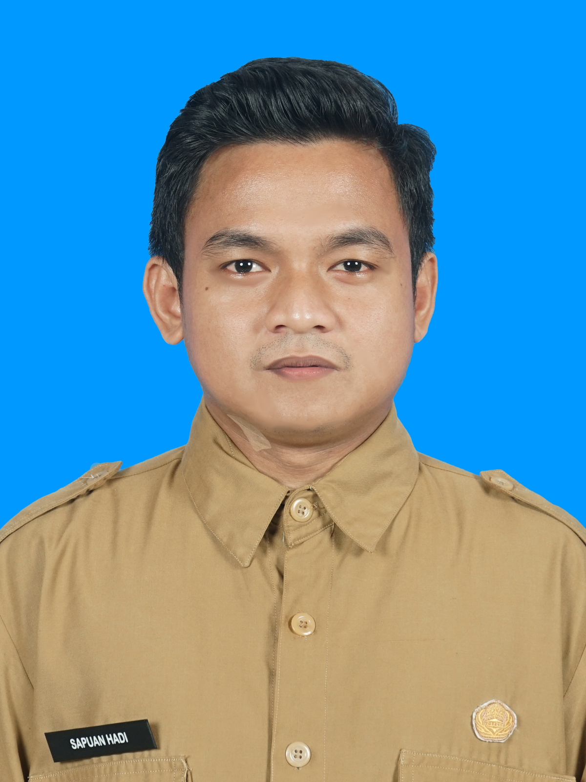 Sapuan Hadi