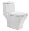 siphonic toilet