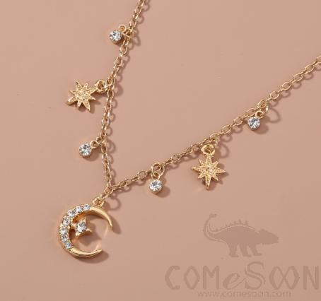 Necklace / Jewelry Nz748
