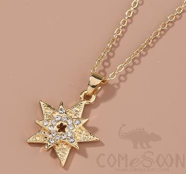 Necklace / Jewelry Nz788