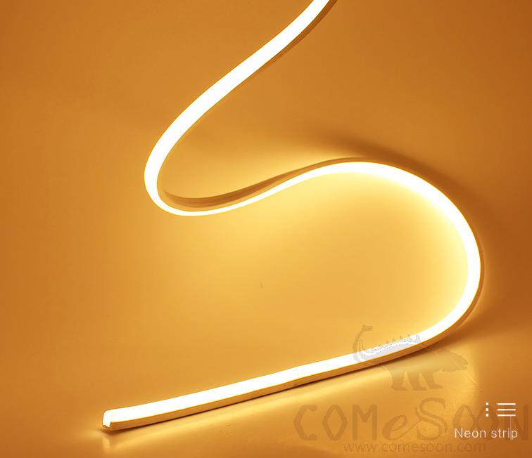 Neon Light-12/24v-Warm White