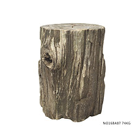 Wood Fossil Rough Stone Pier