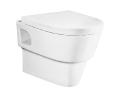 Hanging toilet