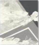 Wilton Carpet-300 * 400 mm