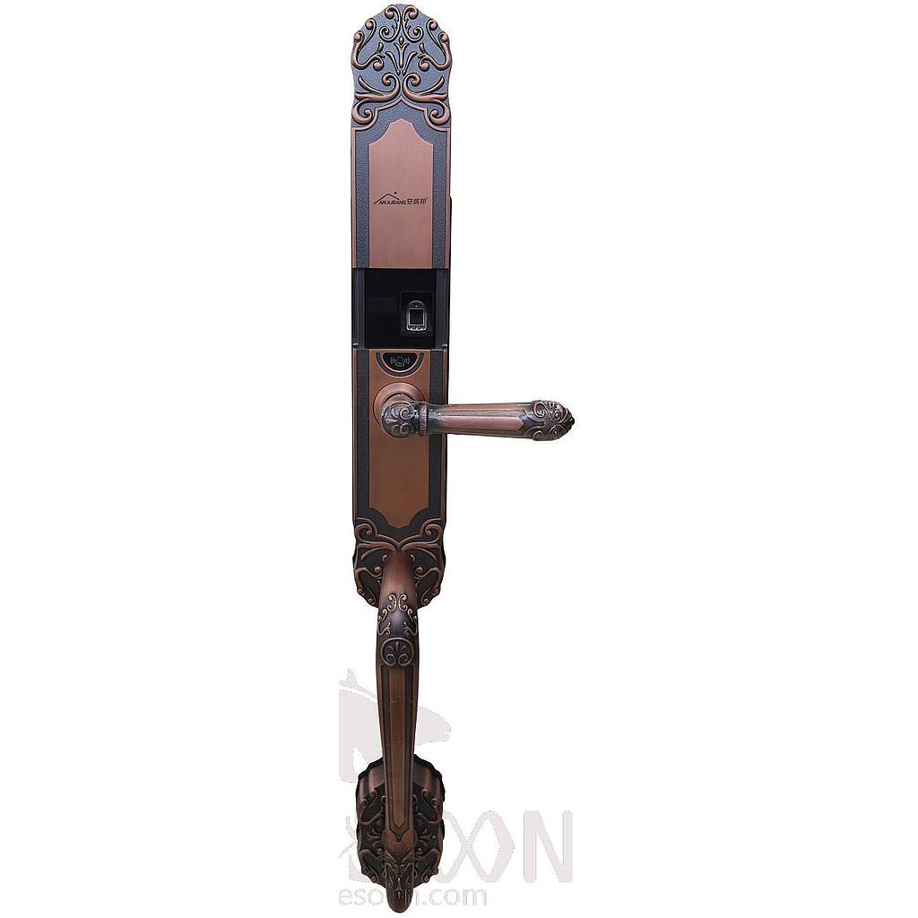 Intelligent Door Lock
