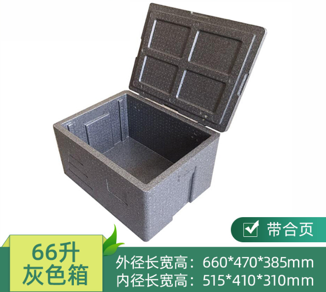 Epp Thermo Box W/ Electrophoretic Hinge, 66L