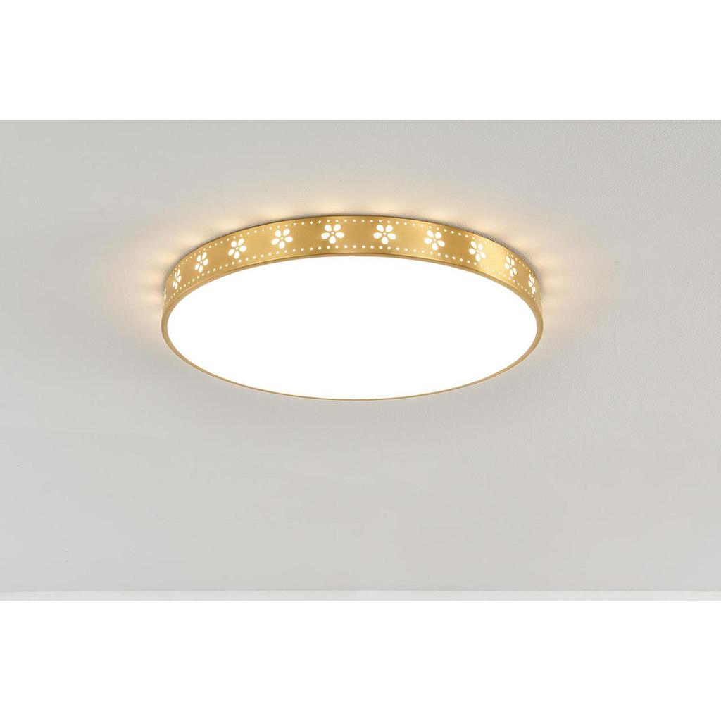 Ceiling Lamps