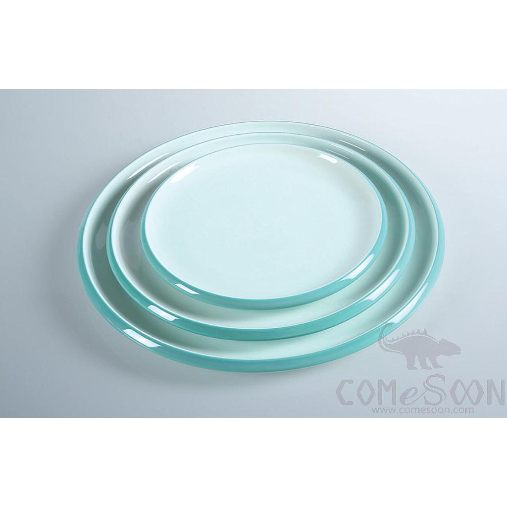 Blue Sleeve Series 10" Cotyloid Shallow Plate product image