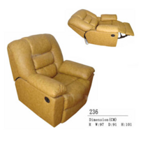 Functional Sofa