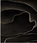 Wilton Carpet-240 * 340 mm