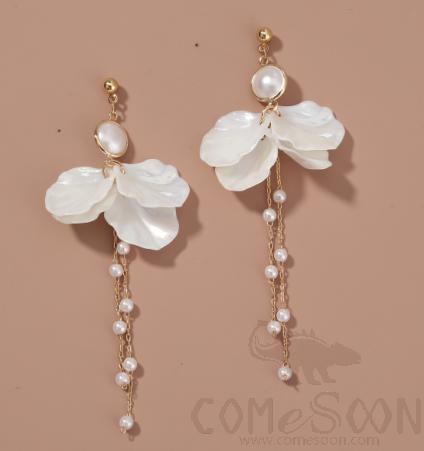 Earring / Dangler / Eardrop / Jewelry Ne840