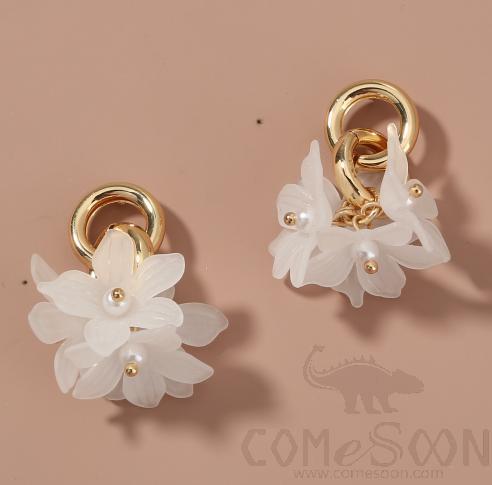 Earring / Dangler / Eardrop / Jewelry Ne844