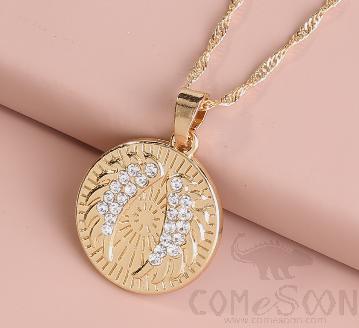 Necklace / Jewelry Nz689 product image