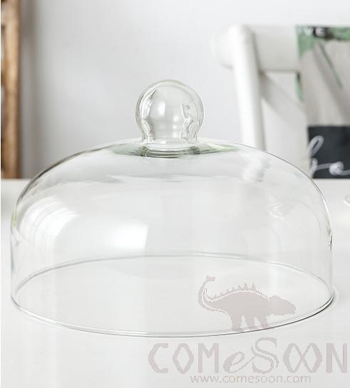 Clear Glass Cover, Φ21cm
