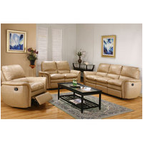 Leather Sofa product image