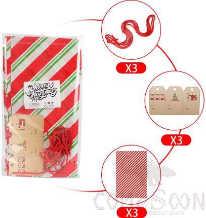 Red and Green Striped Gift Bag