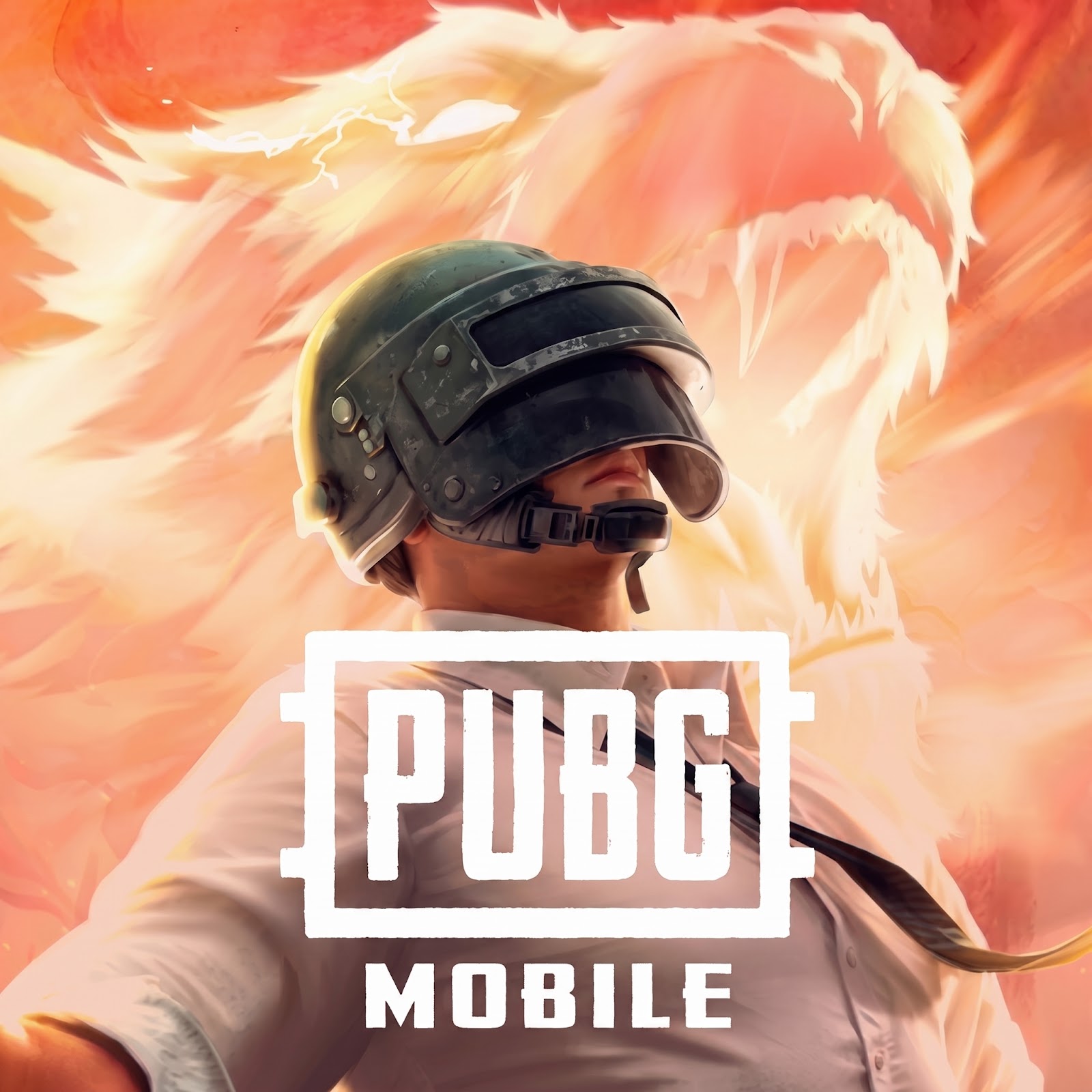 Pubg Mobile