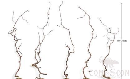 5 Pcs Dry Branch Ornaments