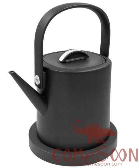 Electric Kettle