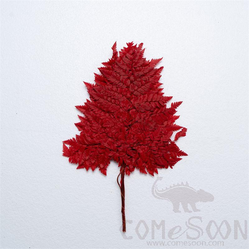 Eternal Flower, H60cm, Red (9-10 Pieces)