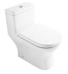 siphonic toilet