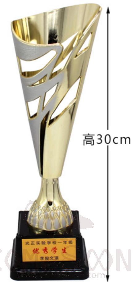 Big Metal Trophies,
H30cm, 267G
