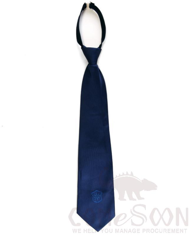 Security Tie product image