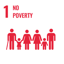 SDG 1 No Poverty Icon