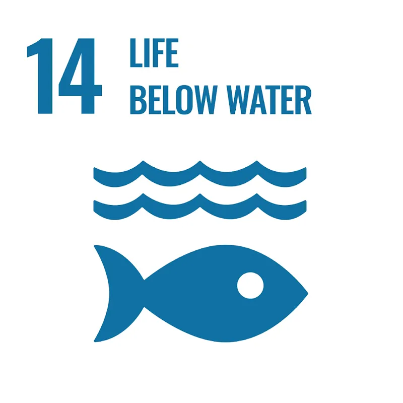 SDG 14 Image