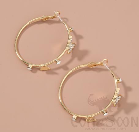 Earring / Dangler / Eardrop / Jewelry Ne932