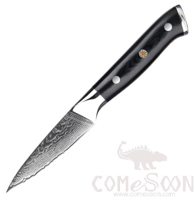 Wn48 Damascus Series Fruit Knife 3.5 inch