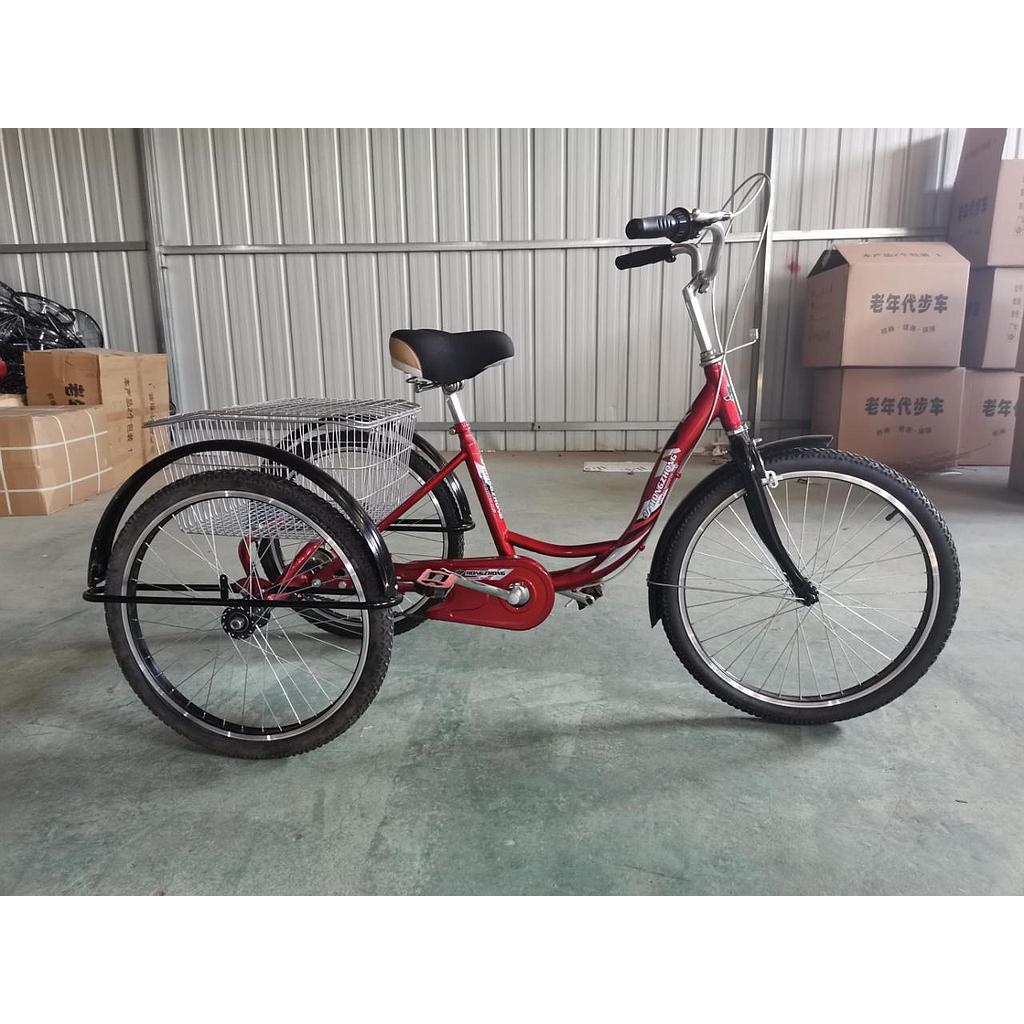 Recreational Tricycle-24 Inches 24 Inches