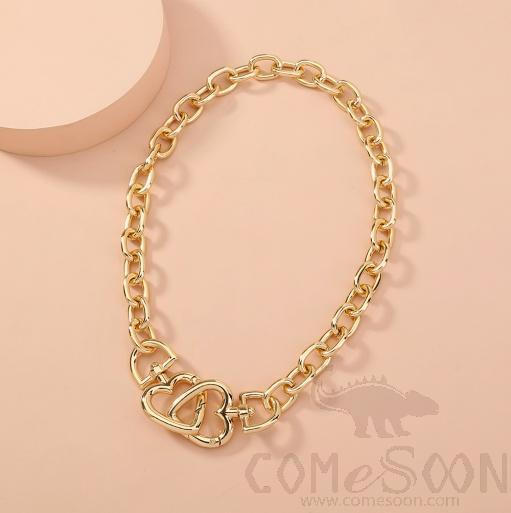 Necklace / Jewelry Nz1053