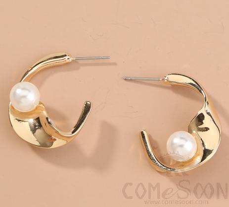 Earring / Dangler / Eardrop / Jewelry Ne759