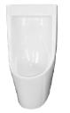 Wall-mounted urinal