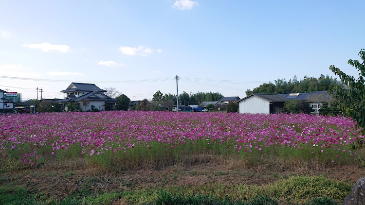 の投稿画像1枚目