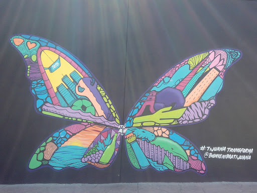 Colorful Butterfly