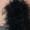 Woollybear Caterpillar