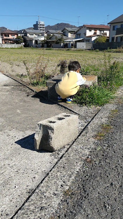 Keiワークスの孫とお散歩・明日から天気悪い・全国大会入賞ならず でも良く頑張った・サイコーの笑顔に関するカスタム事例の投稿画像3枚目