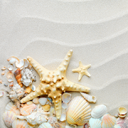 Starfish Sand live wallpaper 1.0 Icon