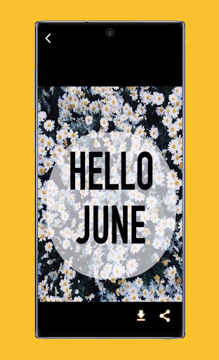 Happy June Quotes