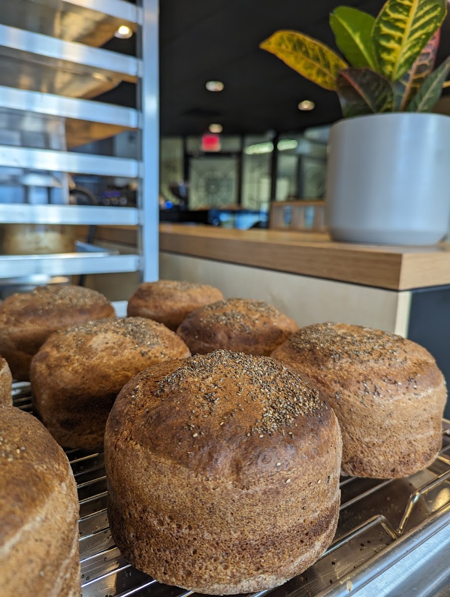 Chia Buckwheat Loaf