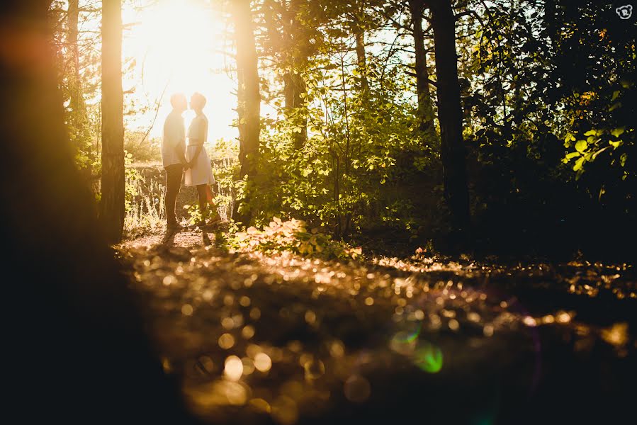 結婚式の写真家Aleksandr Medvedenko (bearman)。2015 11月12日の写真