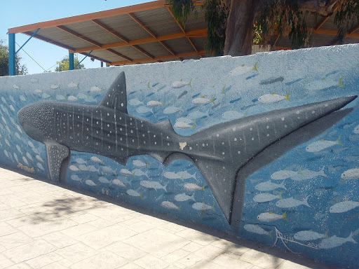 Mural Emblemático al Tiburón Ballena