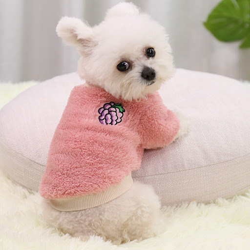 Title 1, Teddy New Year Clothes for Small, Medium, and L...