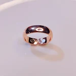 Arc Rose Gold 2 Magnets