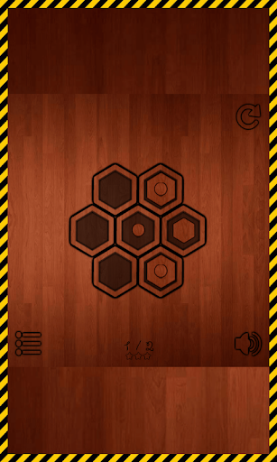 Hexagon Puzzle