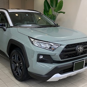 RAV4 MXAA54