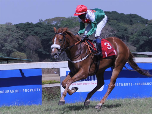 Richard Kibet jockeying Pepper Wood during the Britam Kenya Guineas feature race on February 3, 2019 at the Ngong Race Course. /CONSOLATA MAKOKHA